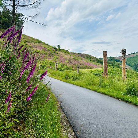 Traumwohnung Mit Sauna & Kamin, Direkt Am Wald Plettenberg Kültér fotó